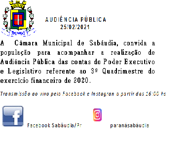 AUDIÊNCIA PÚBLICA I.png